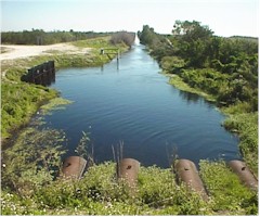L-4 Canal looking East from G88